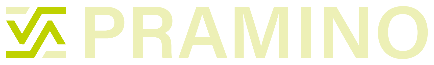 Pramino Conseil